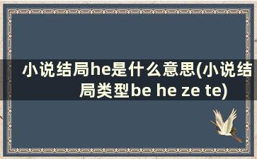 小说结局he是什么意思(小说结局类型be he ze te)